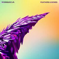 Rodriguez Jr - Feathers And Bones vinyl cover