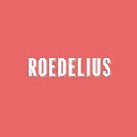 Roedelius - Drauf Und Dran vinyl cover