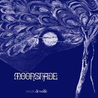Roger Webb Sound - Moonshade vinyl cover