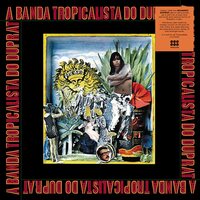Rogério Duprat - A Banda Tropicalista Do Duprat vinyl cover