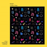 Rohey - Million Things vinyl cover