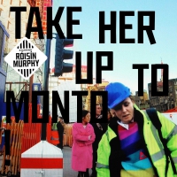 RóisÃn Murphy - Take Her Up To Monto vinyl cover