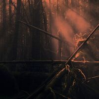 Roly Porter - Kistvaen vinyl cover