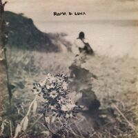 Roma Di Luna - We Were Made To Forgive vinyl cover
