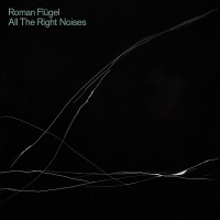 Roman Flügel - All The Right Noises vinyl cover