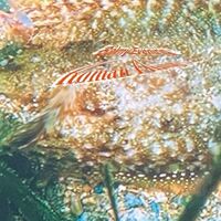 Roman Flugel - Balmy Evening vinyl cover