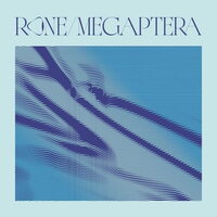 Rone - Megaptera vinyl cover