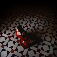 Rose Hotel - A Pawn Surrender vinyl cover