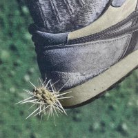 Ross From Friends - Tread vinyl cover