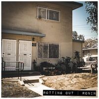 Rotting Out - Ronin vinyl cover