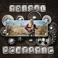 Rovescio Della Medaglia - Tribal Domestic vinyl cover
