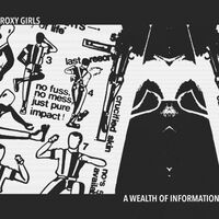 Roxy Girls - Wealth Of Information vinyl cover