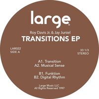 Roy Davis Jr. - Transitions vinyl cover