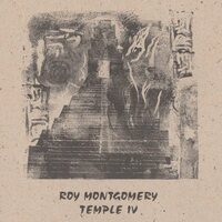 Roy Montgomery - Temple Iv vinyl cover