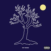 Roy Woods - Exis EP vinyl cover