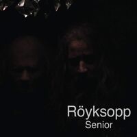 Royksopp - Senior vinyl cover