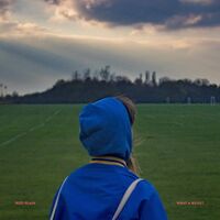Rozi Plain - What A Boost vinyl cover