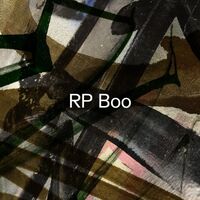Rp Boo - Established!