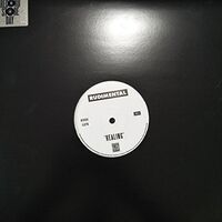 Rudimental - Healing / No Fear vinyl cover