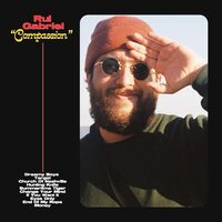 Rui Gabriel - Compassion (Yellow) vinyl cover
