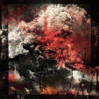 Ruin Lust - Dissimulant vinyl cover