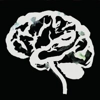 Ruins - Brain Flakes The Lost Combo Tapes vinyl cover