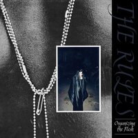 Rules - Organizing The Flesh vinyl cover