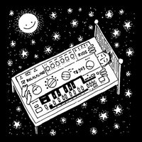 RVDS - Sweet Acid Lullabies vinyl cover
