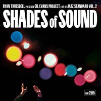 Ryan Truesdell - Shades of Sound vinyl cover
