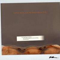 S.al - Little Man You've Had A Busy Day vinyl cover