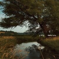 S. Carey - Hundred Acres vinyl cover