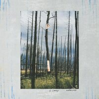 S. Carey - Watercress vinyl cover