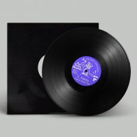 S. Fidelity - Fidelity Radio Club - Toy Tonics Remixes vinyl cover