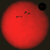 S U R V I V E - Hd015 vinyl cover