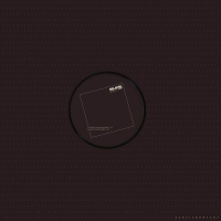 S U R V I V E - Rr7387 Remix Record vinyl cover