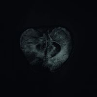 Sadon - Symphony Of Dying vinyl cover