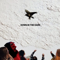 Safe To Say - Down In The Dark vinyl cover
