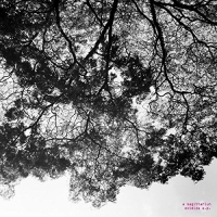 Sagittariun - Oxidize vinyl cover