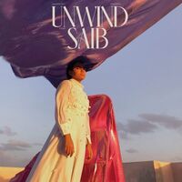 Saib - Unwind vinyl cover