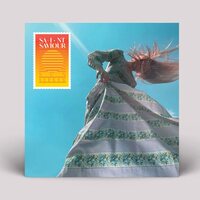 Saint Saviour - Sunseeker vinyl cover