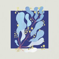 Salamanda - In Parallel vinyl cover