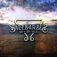Salebarbes - Gin A L'eau Salee
