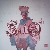 Salo - Salo vinyl cover