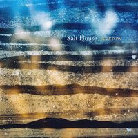 Salt House - Scarrow vinyl cover