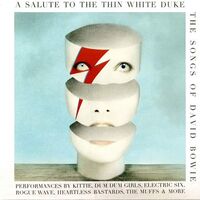 Salute To The Thin White Duke - Songs Of Bowie - A Salute To The Thin White Duke - The Songs Of David Bowie / Various vinyl cover