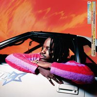 salute - TRUE MAGIC vinyl cover