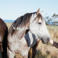 Salvia Palth - Melanchole (Double Mint) vinyl cover