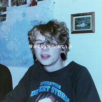 Salvia Palth - Melanchole vinyl cover