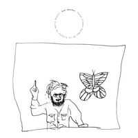 Sam Amidon - Fatal Flower Garden: A Tribute To Harry Smith vinyl cover