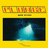 Sam Evian - Plunge vinyl cover
